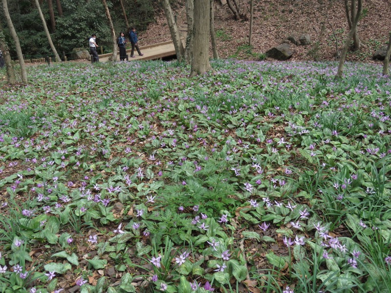 三毳山登山