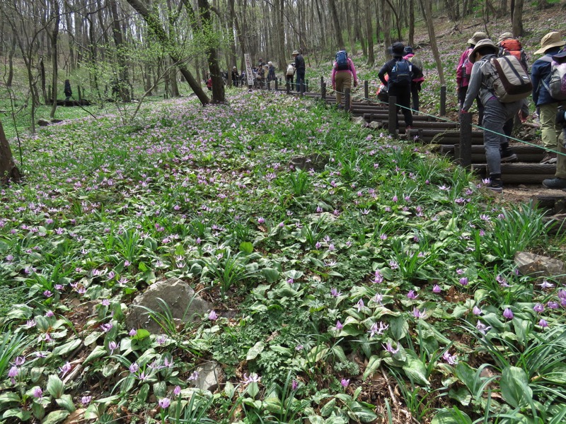 三毳山登山