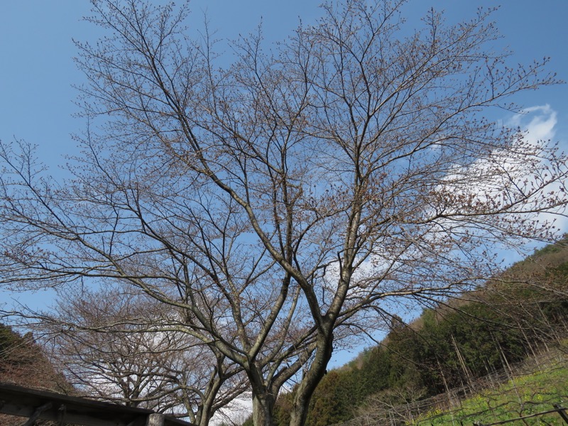 三毳山登山