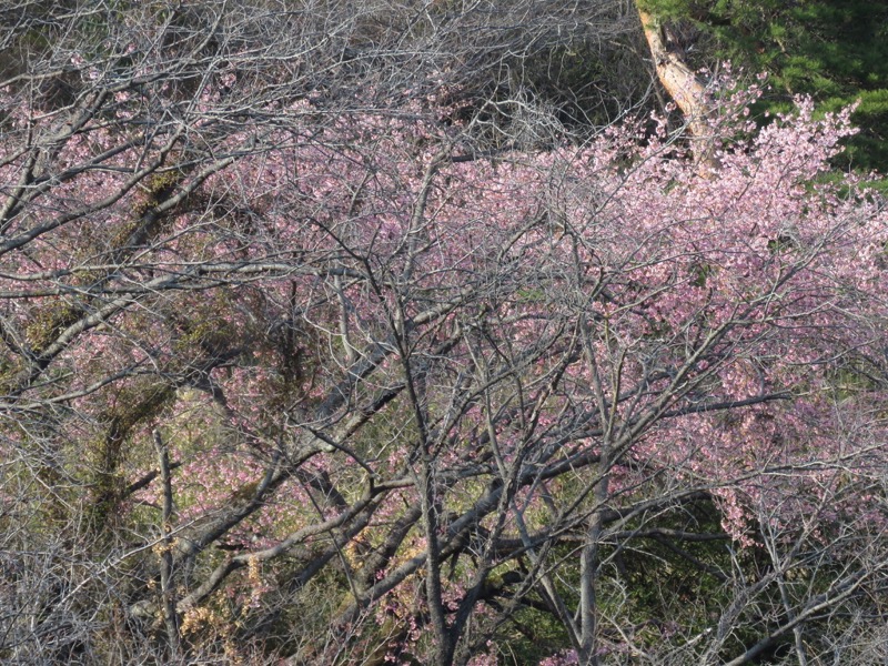 三毳山登山