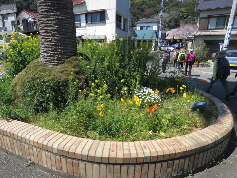 烏場山登山、花嫁街道、花婿街道