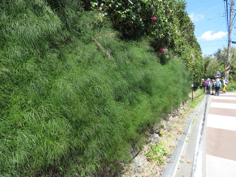 烏場山登山、花嫁街道、花婿街道