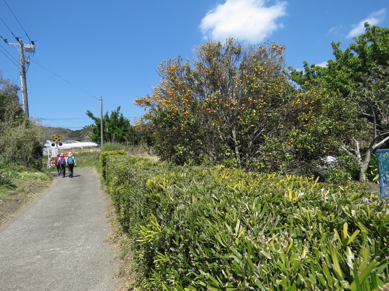 烏場山登山、花嫁街道、花婿街道