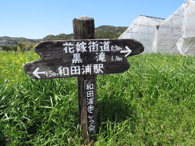 烏場山登山、花嫁街道、花婿街道