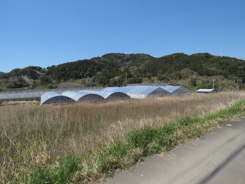 烏場山登山、花嫁街道、花婿街道