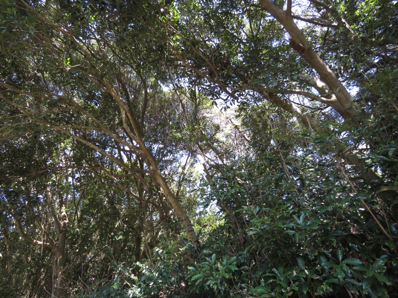 烏場山登山、花嫁街道、花婿街道