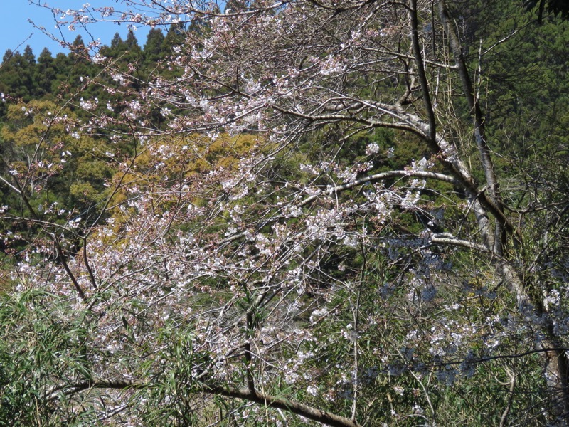 烏場山登山、花嫁街道、花婿街道