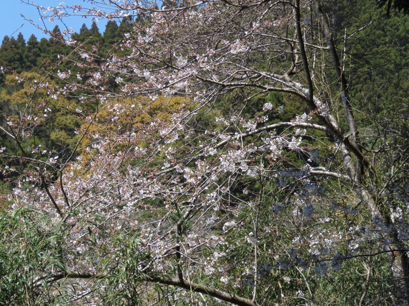 烏場山登山、花嫁街道、花婿街道