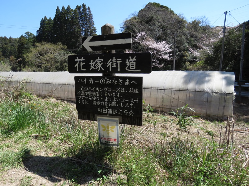 烏場山登山、花嫁街道、花婿街道