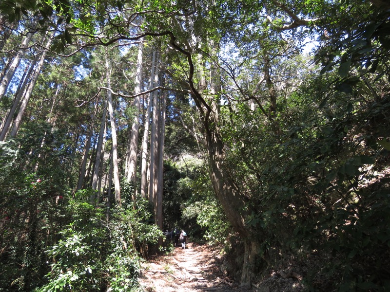 烏場山登山、花嫁街道、花婿街道