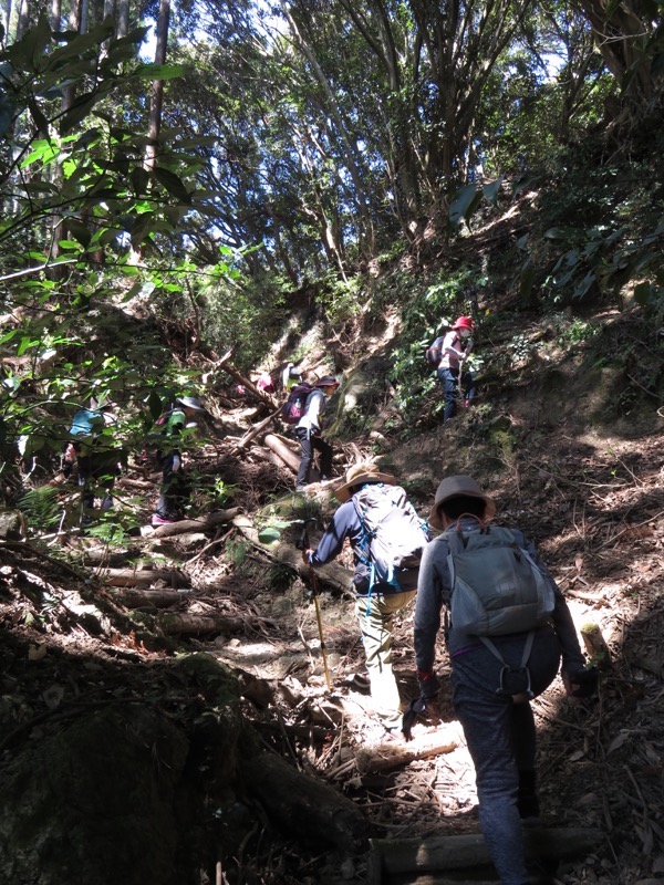 烏場山登山、花嫁街道、花婿街道