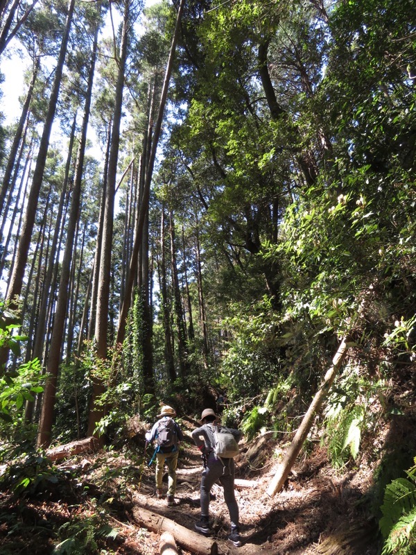 烏場山登山、花嫁街道、花婿街道