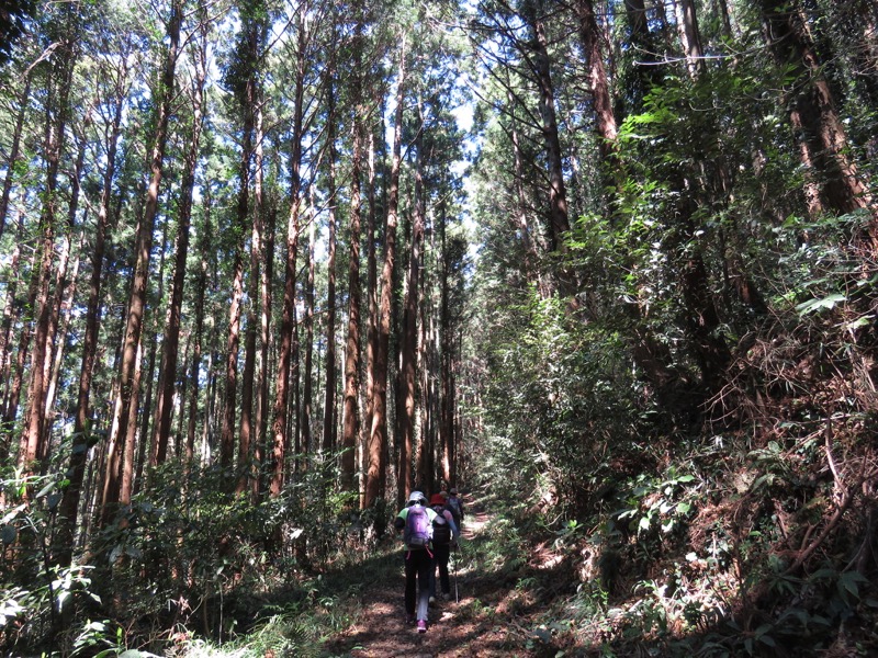 烏場山登山、花嫁街道、花婿街道