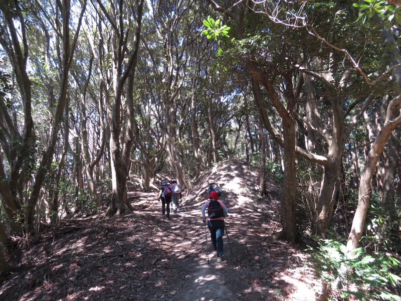 烏場山登山、花嫁街道、花婿街道