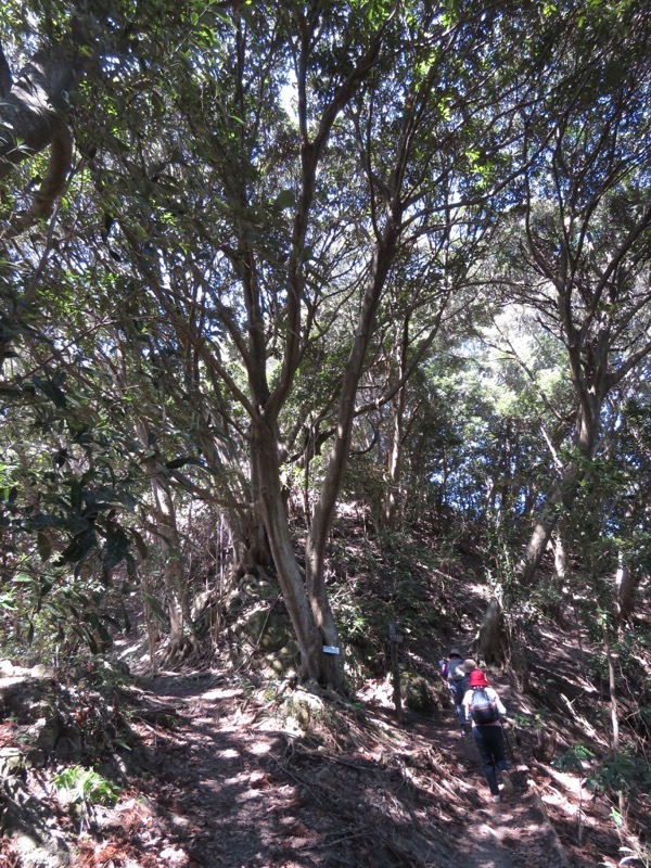 烏場山登山、花嫁街道、花婿街道