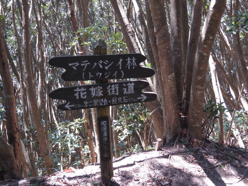 烏場山登山、花嫁街道、花婿街道