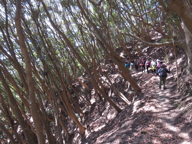 烏場山登山、花嫁街道、花婿街道