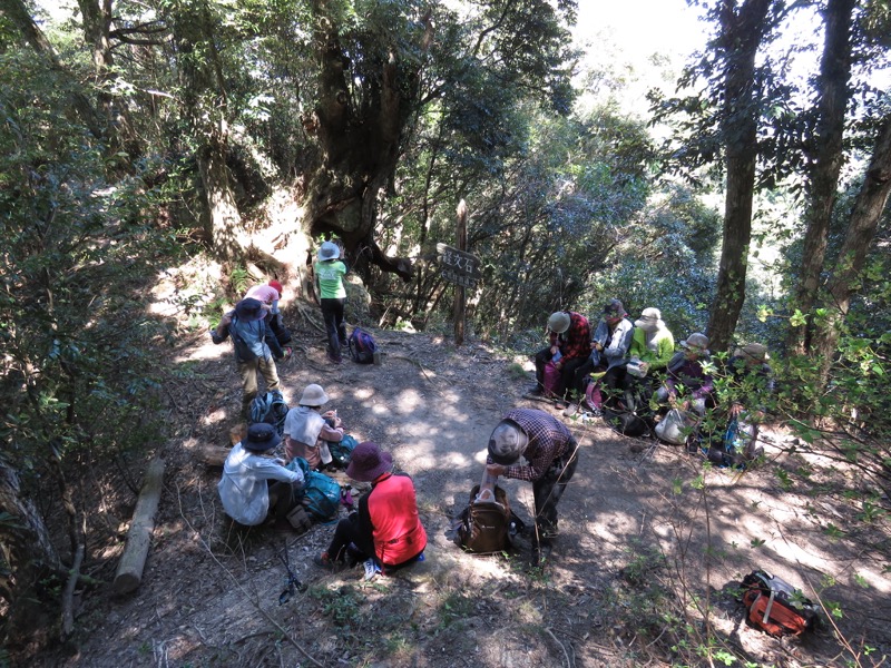 烏場山登山、花嫁街道、花婿街道