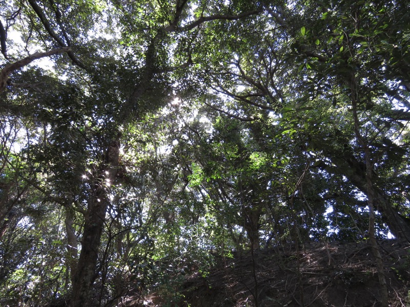 烏場山登山、花嫁街道、花婿街道