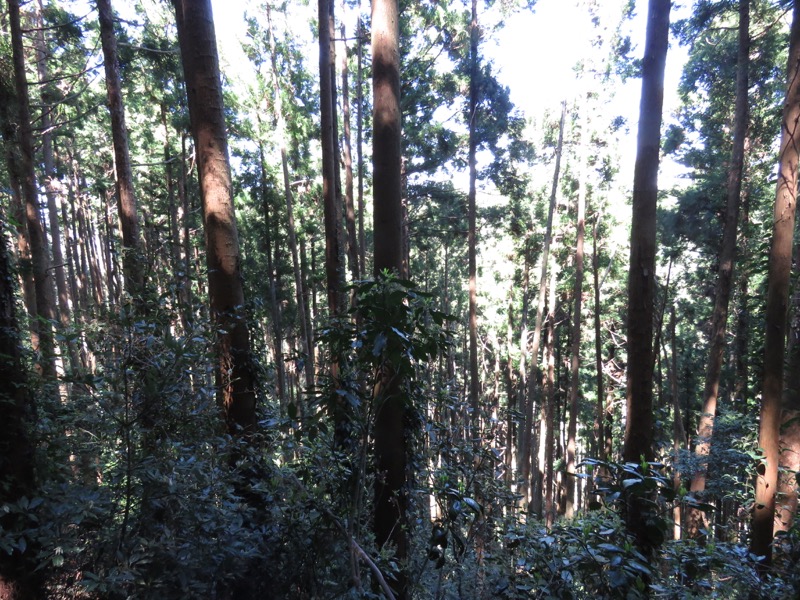 烏場山登山、花嫁街道、花婿街道