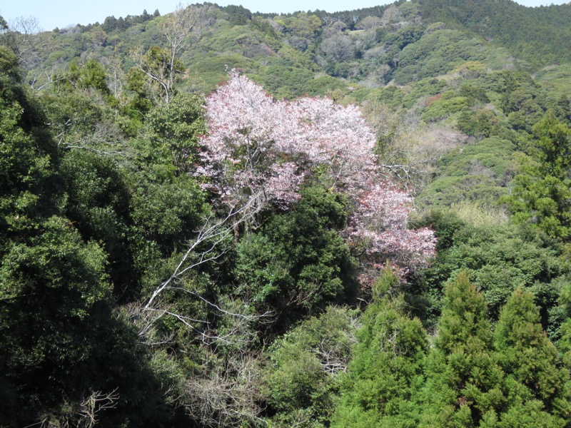 烏場山登山、花嫁街道、花婿街道