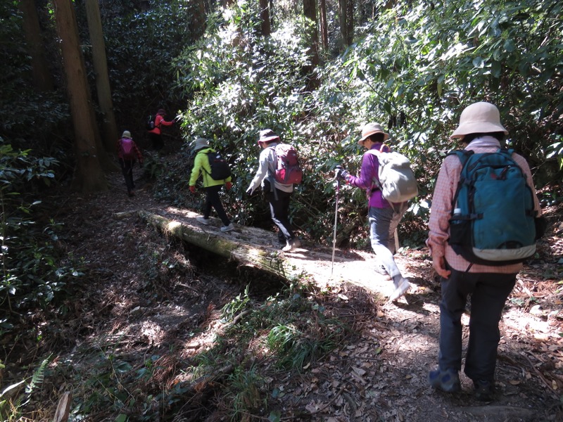 烏場山登山、花嫁街道、花婿街道