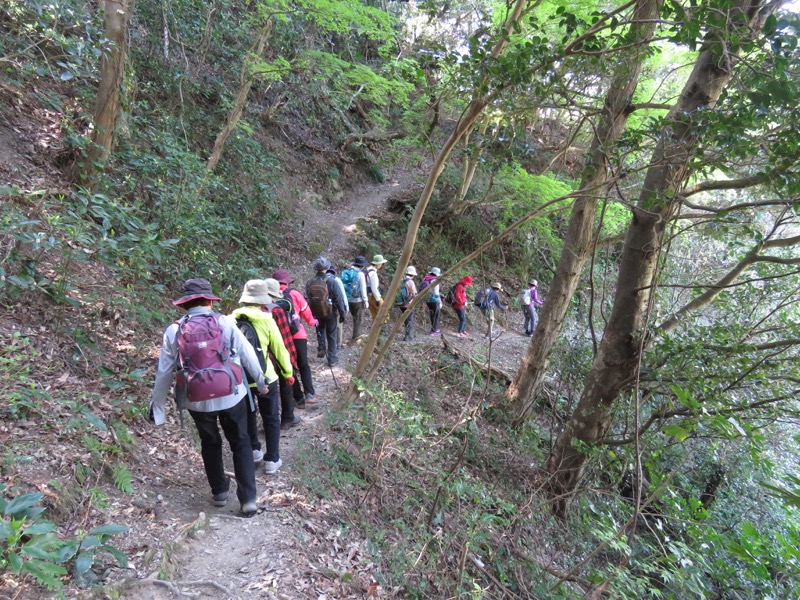 烏場山登山、花嫁街道、花婿街道