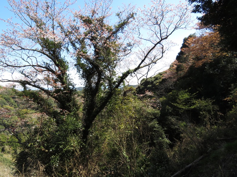 烏場山登山、花嫁街道、花婿街道