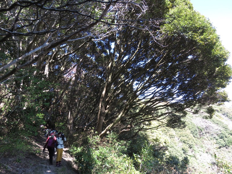 烏場山登山、花嫁街道、花婿街道