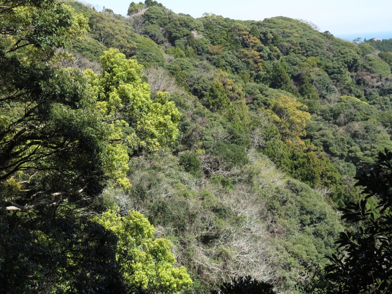 烏場山登山、花嫁街道、花婿街道