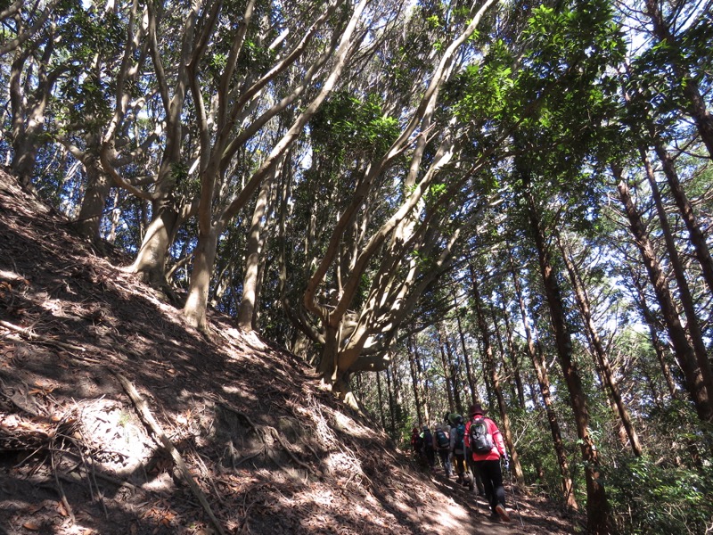 烏場山登山、花嫁街道、花婿街道