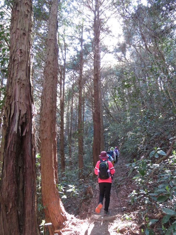 烏場山登山、花嫁街道、花婿街道