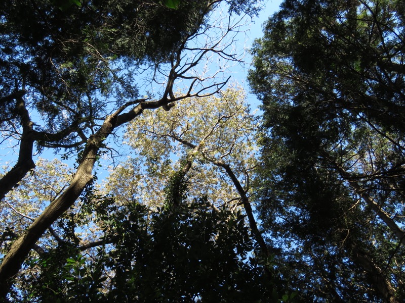 烏場山登山、花嫁街道、花婿街道