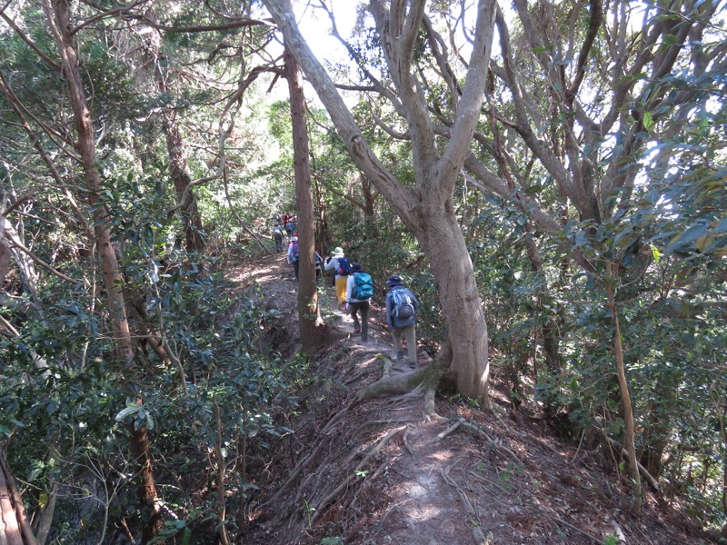 烏場山登山、花嫁街道、花婿街道