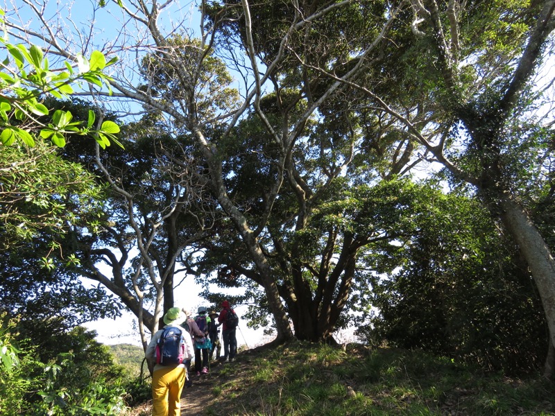 烏場山登山、花嫁街道、花婿街道