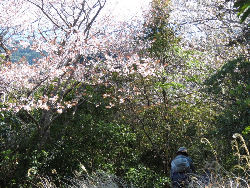 烏場山登山、花嫁街道、花婿街道