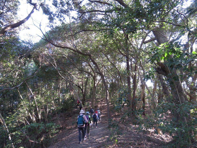 烏場山登山、花嫁街道、花婿街道