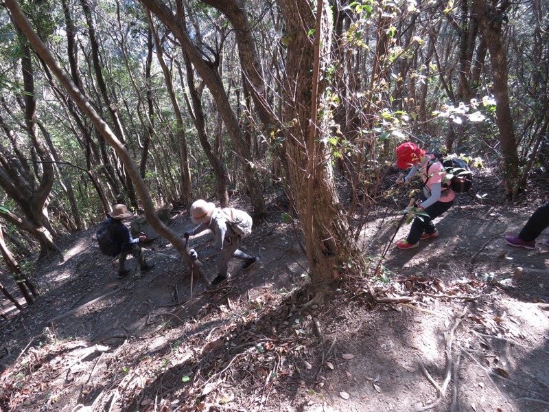 烏場山登山、花嫁街道、花婿街道