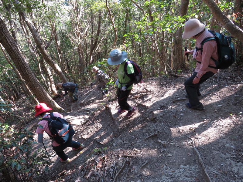 烏場山登山、花嫁街道、花婿街道