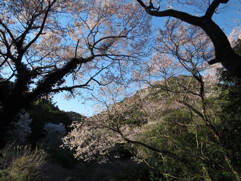 烏場山登山、花嫁街道、花婿街道