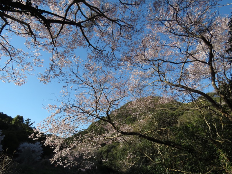 烏場山登山、花嫁街道、花婿街道