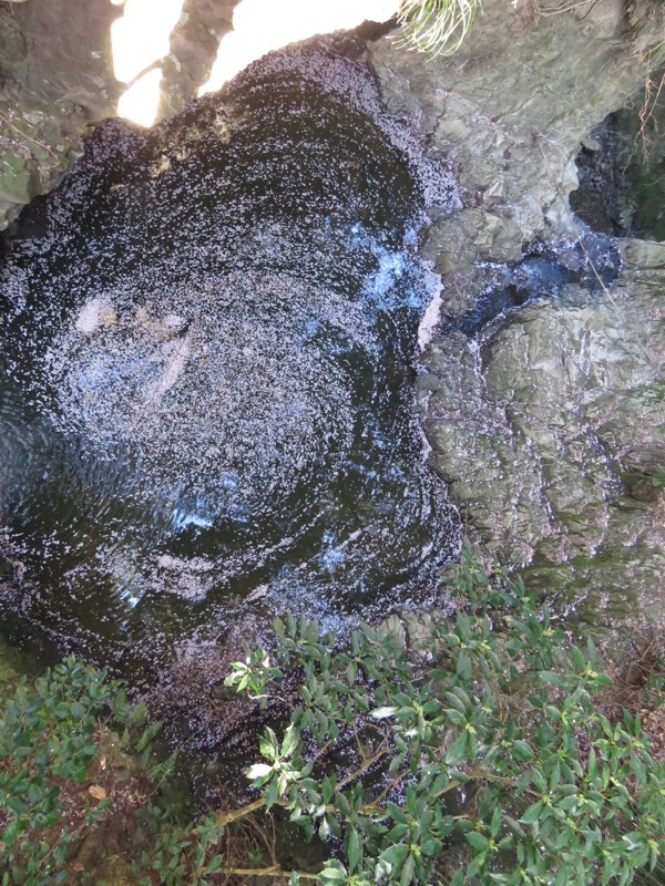 烏場山登山、花嫁街道、花婿街道