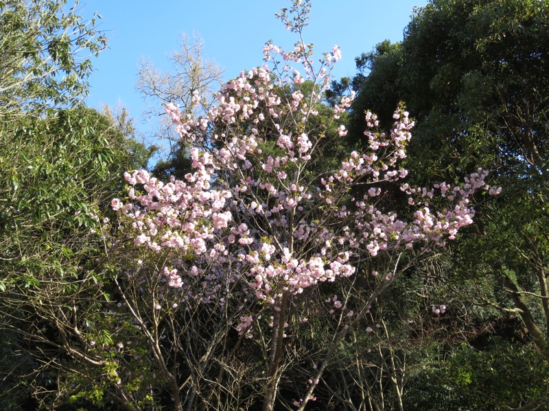 烏場山登山、花嫁街道、花婿街道