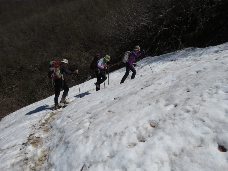 坂戸山登山