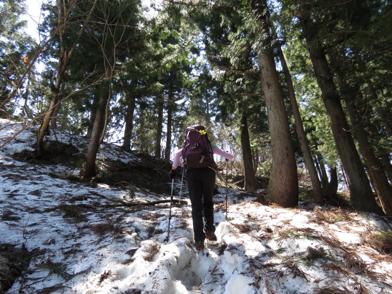 坂戸山登山