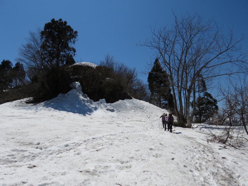 坂戸山登山