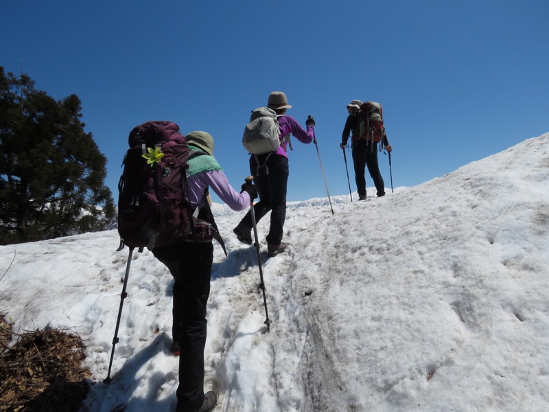 坂戸山登山