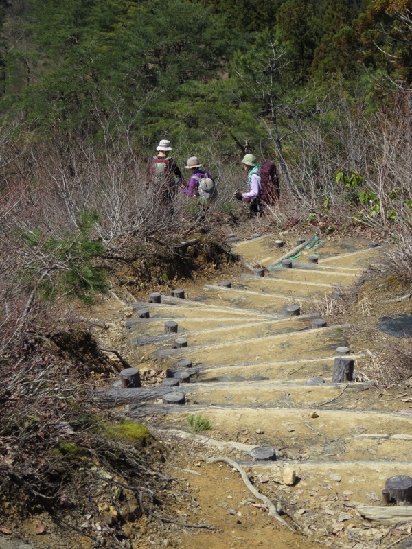 坂戸山登山
