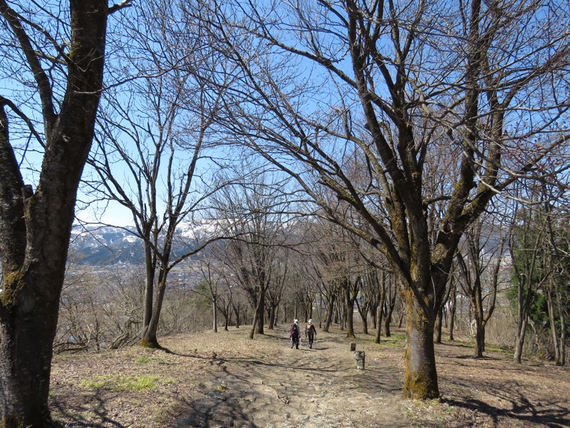 坂戸山登山
