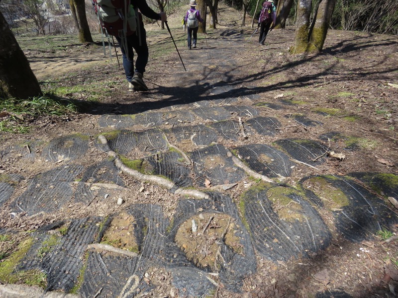 坂戸山登山